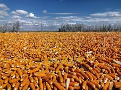 数台大型机有序功课